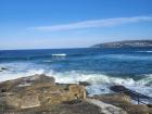 Exploring the rocky shore on Manly Beach in Northern Sydney