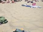 Reading on Coogee Beach