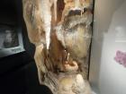 Small replica of the inside of a cave formation