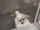 The infamous seagull holding a french fry