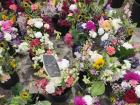 Flowers for sale at the Carriageworks Farmers Market