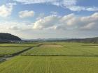Farms in Japan look very similar to Nebraskan Farms!