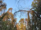 Scenes from my run in the forest 