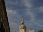 View of a tower of a Sevilla cathedral