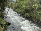 The roaring Río Mindo