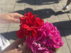 My friend and I holding flowers