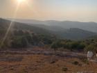 Ajloun's rich, green scenery