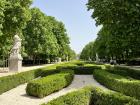 Taking a stroll through Madrid's "Parque Retiro"