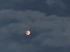 View of the "blood moon" from my apartment at 8 pm