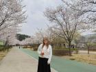 In front of cherry blossoms on a walk in Gyeongsan