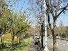 More views from one of my everyday after school walks