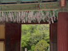 Birthday wishes for Buddha hanging in a temple in Gyeongju
