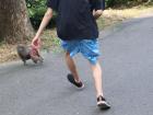 My friend chasing the thieving monkey! No popsicles for us