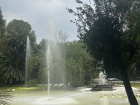 The fountain and its ducks make Parque México a relaxing spot to enjoy nature in the city