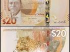 A Belizean $20 bill has a jaguar on one side and George Price on the next. 
