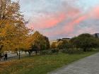 Pink skies!