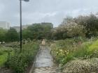 A very rainy day in Hobart