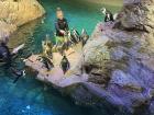 Me feeding the African penguins at the aquarium. They can eat 15 fish in one meal, and that's just breakfast!