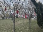Everybody hangs their threads on trees!