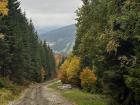 I went hiking in Ramzova (a nearby town) this fall and took in all the beautiful fall colors.