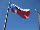 The Czech Republic's flag