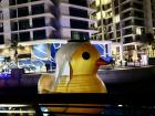 A duck at Bahrain Bay wearing a traditional headscarf