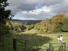 Scenic view in Prior Park Garden