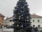 Christmas tree set up in Eger's town square!