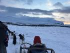 Dogsled being pulled by Alaskan huskies