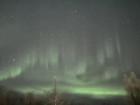 The northern lights dancing in the sky