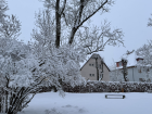 The snowy landscape on my walk to work 