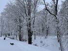 This photo is from my walk!