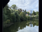This is the nearby river with the trees in full bloom. So beautiful!