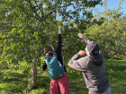 A kind Finnish man showed us how to pick apples at the top of the tree!