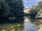 Watching people kayak in Plagwitz