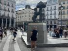 Puerta del Sol, the central plaza in Madrid, features a statue of a bear and a tree, which is a famous symbol of the city