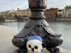 Signor Gufo poses by the River Arno in Florence