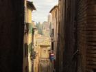 A little street in Siena