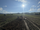 A field in Slovakia where I helped pick potatoes in September