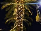 Lights on the palm trees in Roccella!