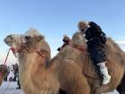 My friends rode camels while I kept watch, and every step sent them bouncing sky-high, we were laughing nonstop!