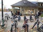 Bikes Locked on the University of Mainz Campus