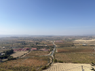 Vineyards in La Rioja