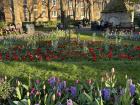 There are lots of parks or gardens in different neighborhoods around London. They are great to sit in on a nice day.