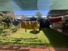Cuando hay sol, llevamos la ropa a la máquina y la secamos al sol. Nadie usa máquina de secar acá