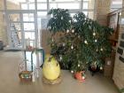 Easter decorations in my school...it is an Easter tradition in Slovakia to paint eggs with lots of colors and designs