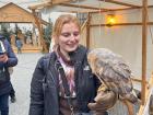 I got to hold a bird at the Bratislava Christmas market