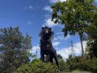 In East Belfast, C.S. Lewis Square has many statues of characters from the Narnia books, which he wrote! This is a sculpture of Aslan, one of the main characters in the books.