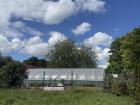 A community garden in East Belfast, which I went to explore recently!
