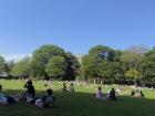 Students relaxing outside at Queen's University near the Botanic Gardens since the sun's been out!